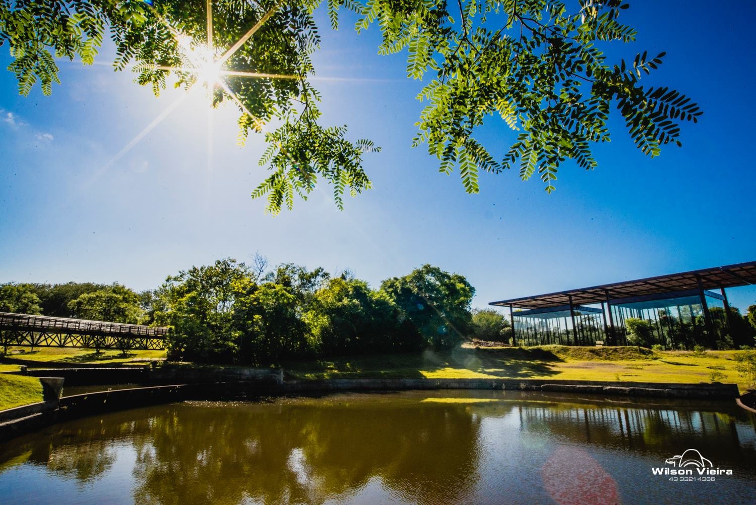 Jardim Botânico de Londrina