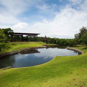 Jardim Botânico de Londrina