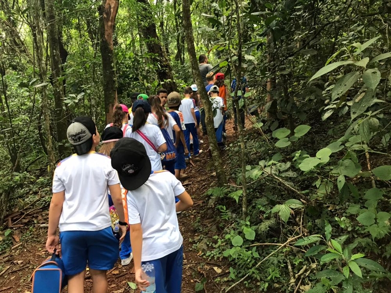 Pontos turísticos naturais em Londrina: Mata dos Godoy 