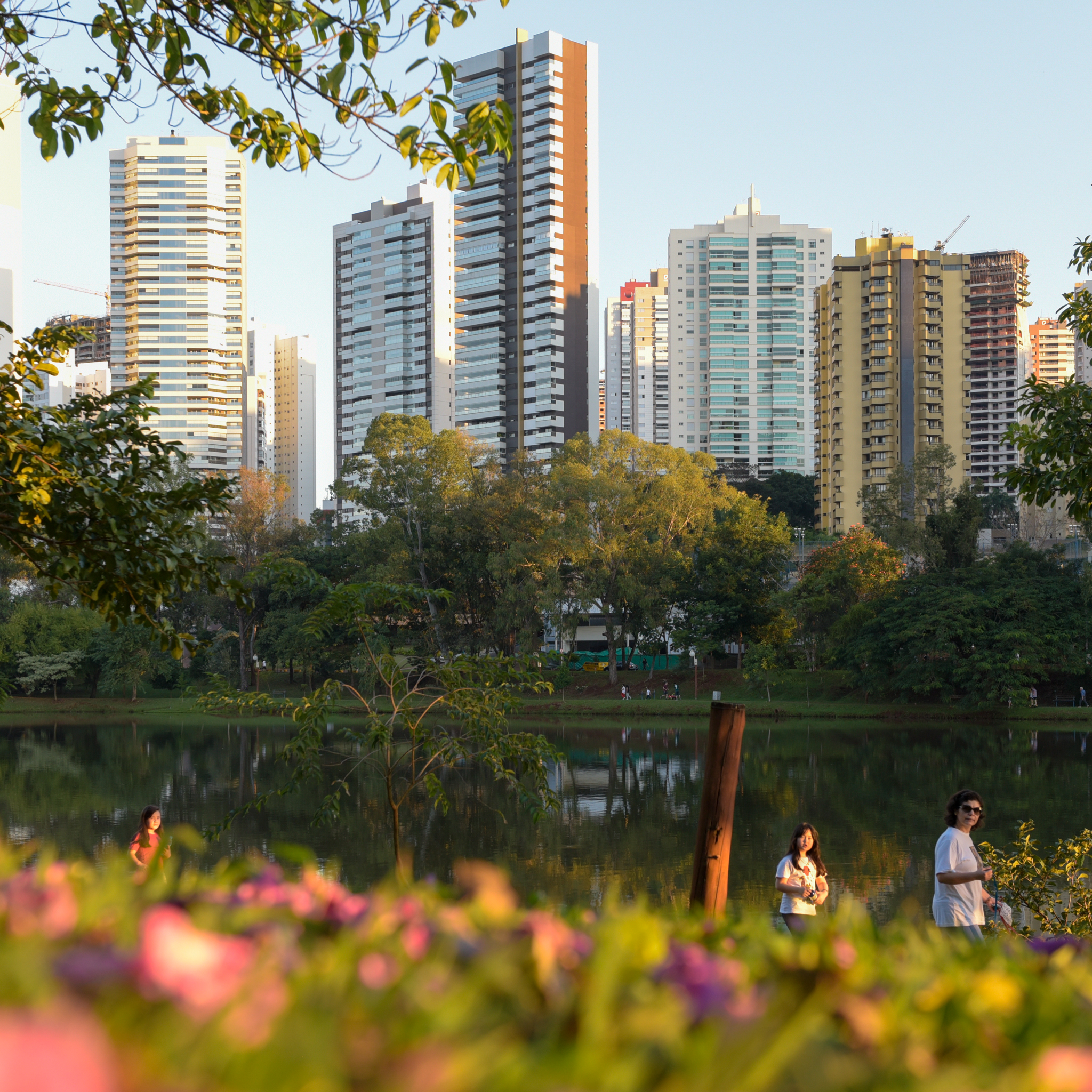 Wilson Vieira fotografo Londrina-1-25