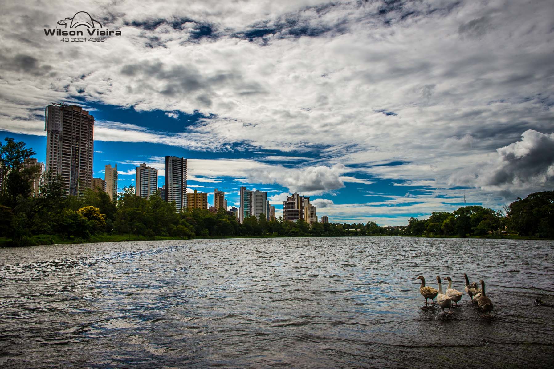 Gleba Palhano Londrina